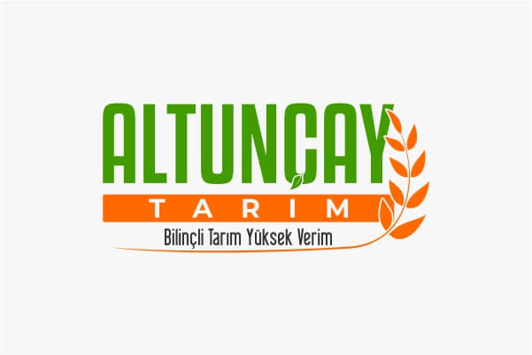 düzce logo tasarımı 5